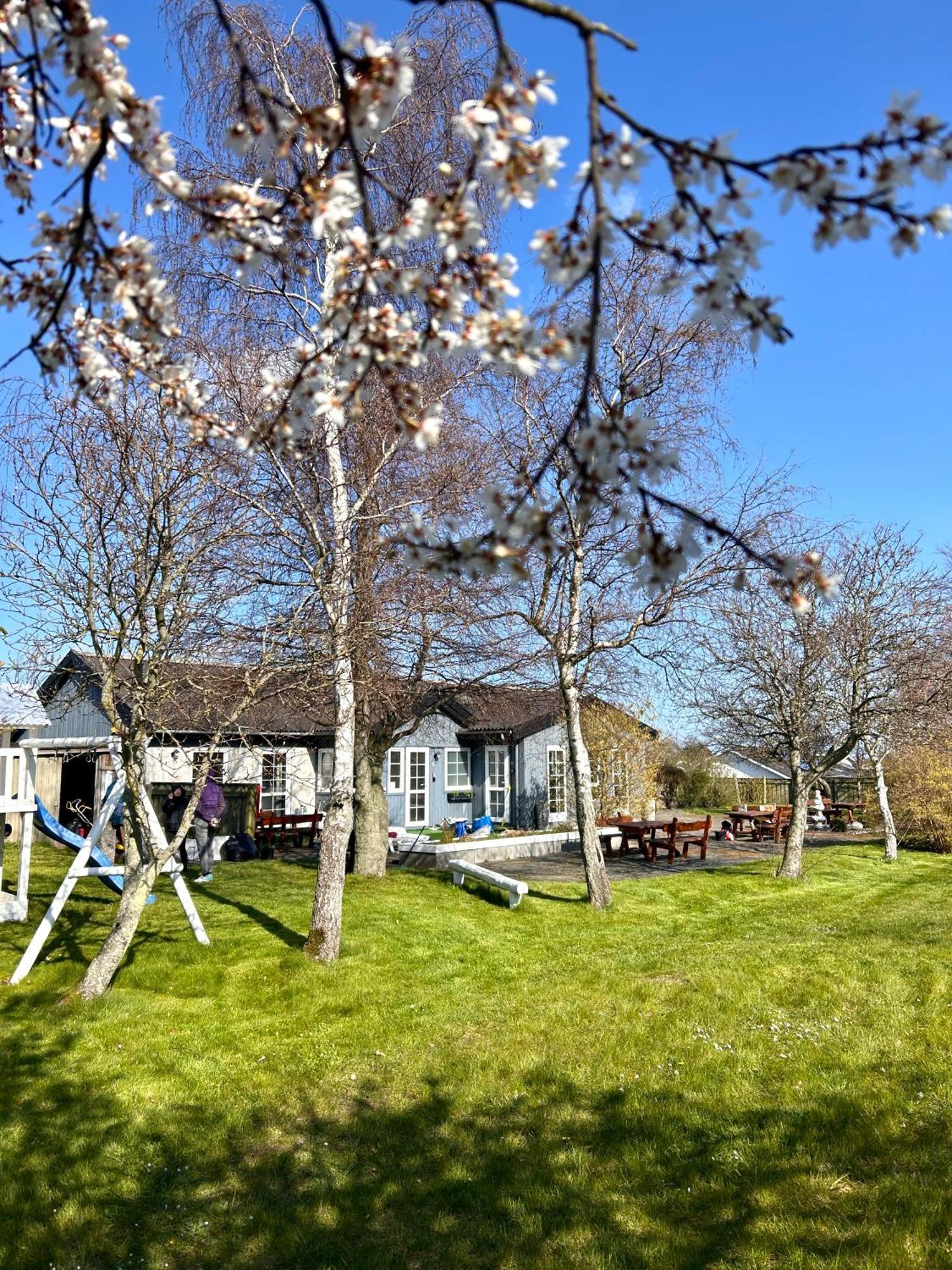 Apartamenty Neksø Exteriér fotografie